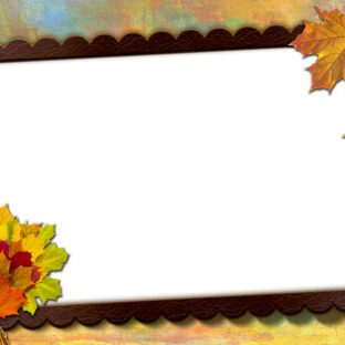 初孫が生まれた際、敬老の日のプレゼントは何がおすすめ?